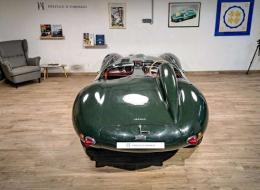 Jaguar Type D