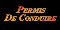 SAS Permis de conduire